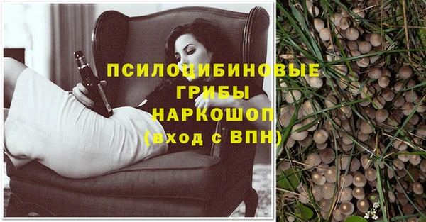 mix Алексин