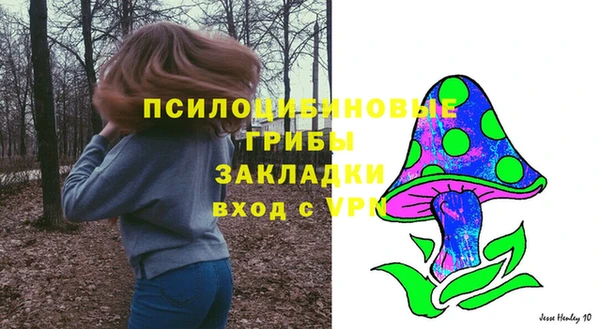 ECSTASY Алексеевка