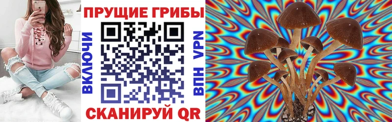 Галлюциногенные грибы Psilocybine cubensis Гагарин