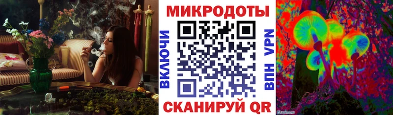 блэк спрут зеркало  Гагарин  Галлюциногенные грибы мицелий 